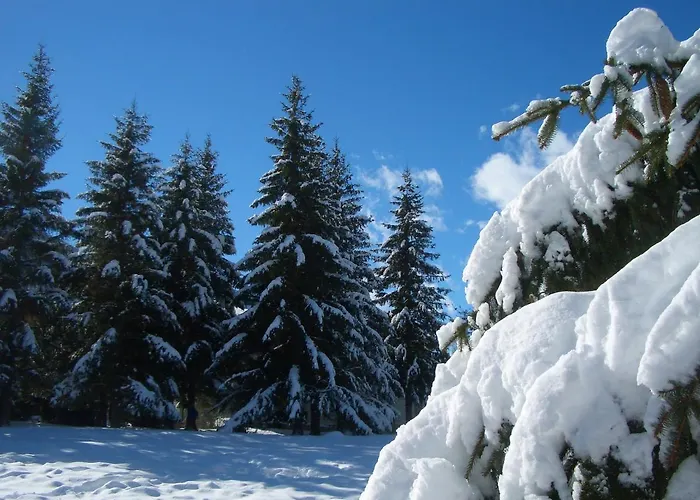 Ball Benas Edificio Mirador